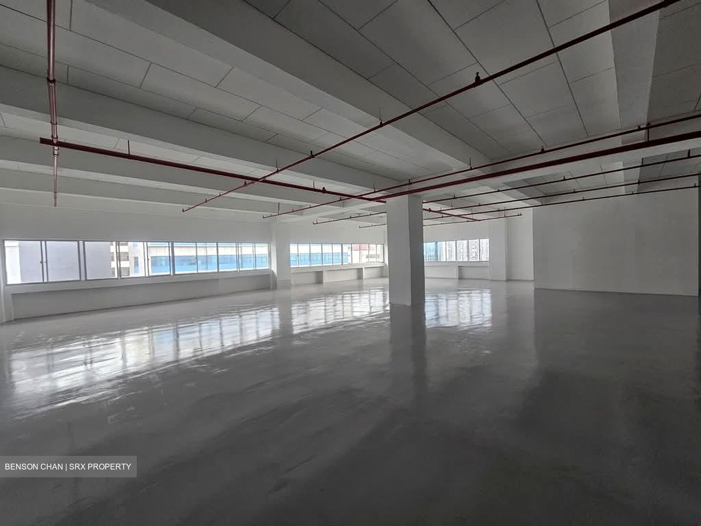 Perfect One (D13), Warehouse #555022431